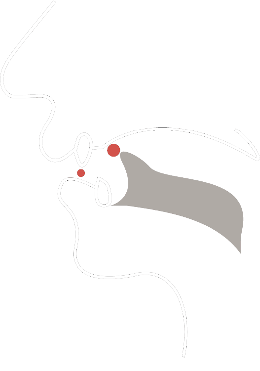 Vocal tract diagram for the ɹ sound