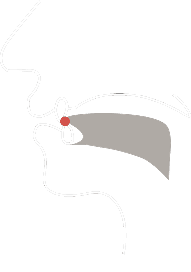 Vocal tract cross-section showing tongue placement for θ and ð sounds