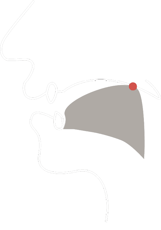 Vocal tract diagram for the ç/x sound