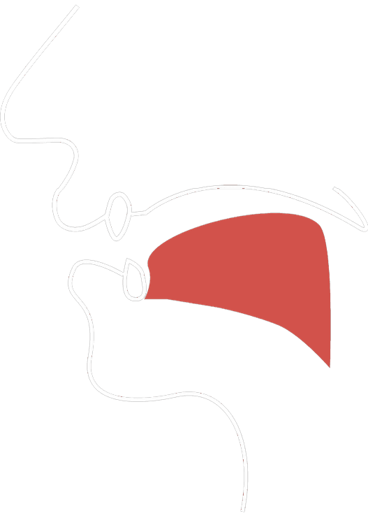 Vocal tract diagram for the æ sound