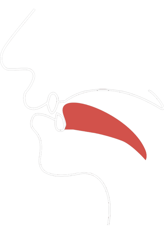 Vocal tract diagram for the ɪ/iː sound