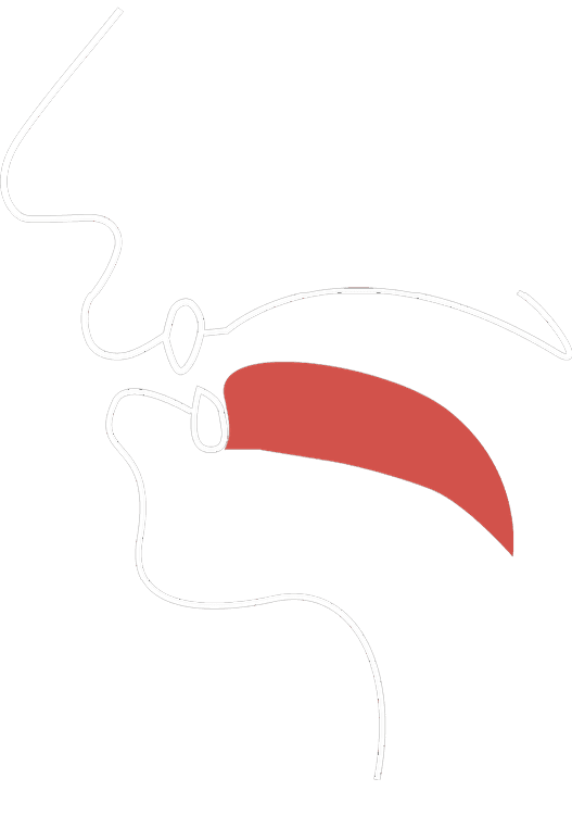 Vocal tract diagram for the yː sound
